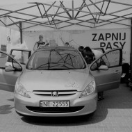 Auto w PIT STOPIE