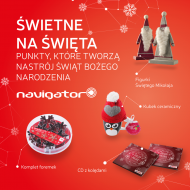 ŚWIETNE NA ŚWIĘTA